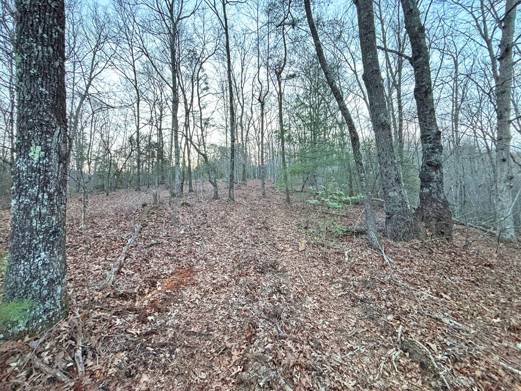 2370 Humphrey Mill Road Property Photo 20