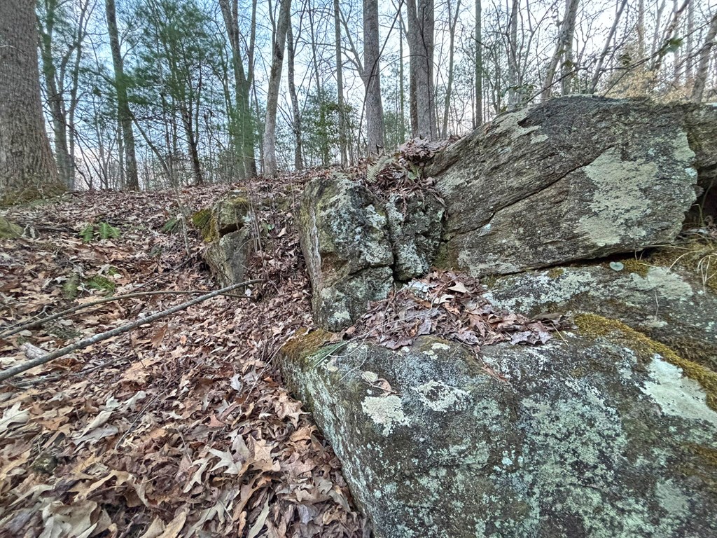 2370 Humphrey Mill Road Property Photo 21