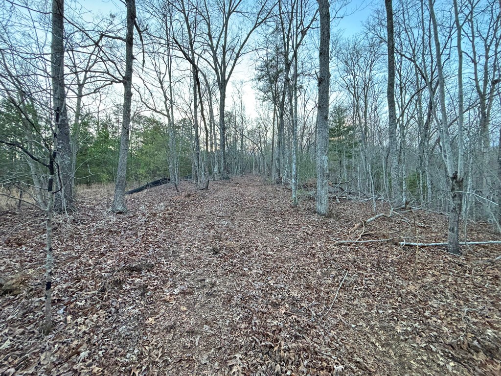 2370 Humphrey Mill Road Property Photo 22