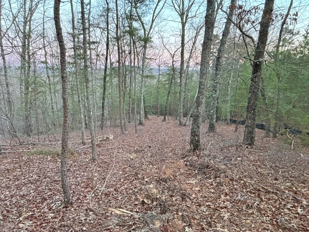 2370 Humphrey Mill Road Property Photo 23
