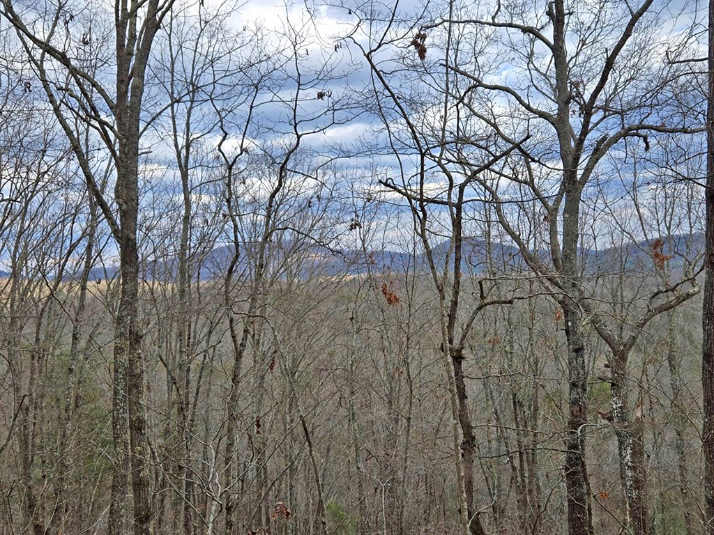 2370 Humphrey Mill Road Property Photo 29