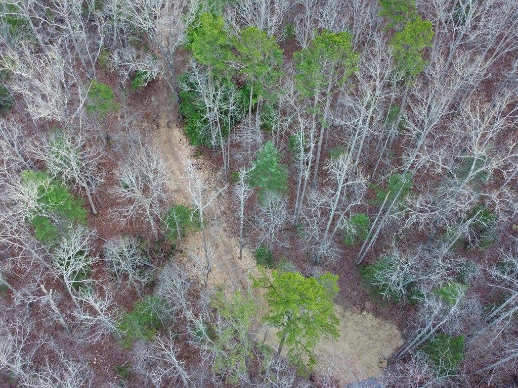 2370 Humphrey Mill Road Property Photo 32