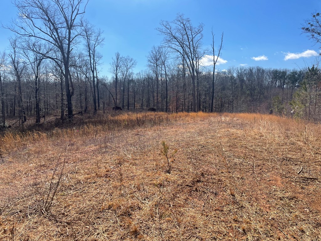 108 Red Plum Drive Property Photo 3