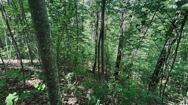 409&411 Barefoot Rise Property Photo 3