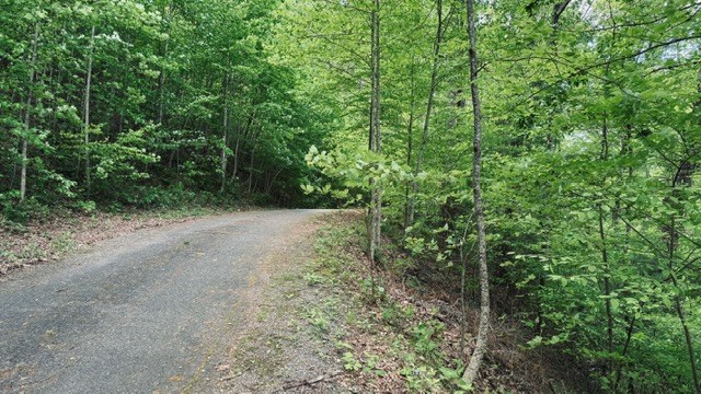 409&411 Barefoot Rise Property Photo 5