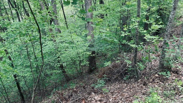 409&411 Barefoot Rise Property Photo 6