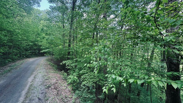 409&411 Barefoot Rise Property Photo 7