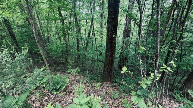 409&411 Barefoot Rise Property Photo 8