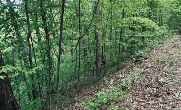 409&411 Barefoot Rise Property Photo 10