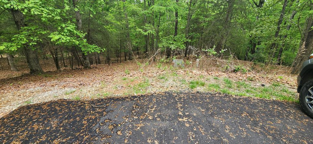 Lt 12 Saw Briar Lane Property Photo 1