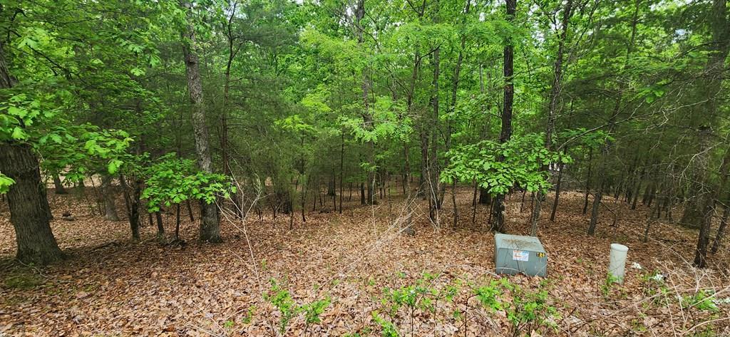 Lt 12 Saw Briar Lane Property Photo 2