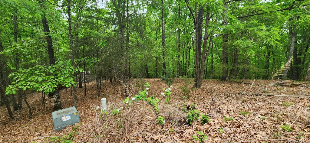 Lt 12 Saw Briar Lane Property Photo 5