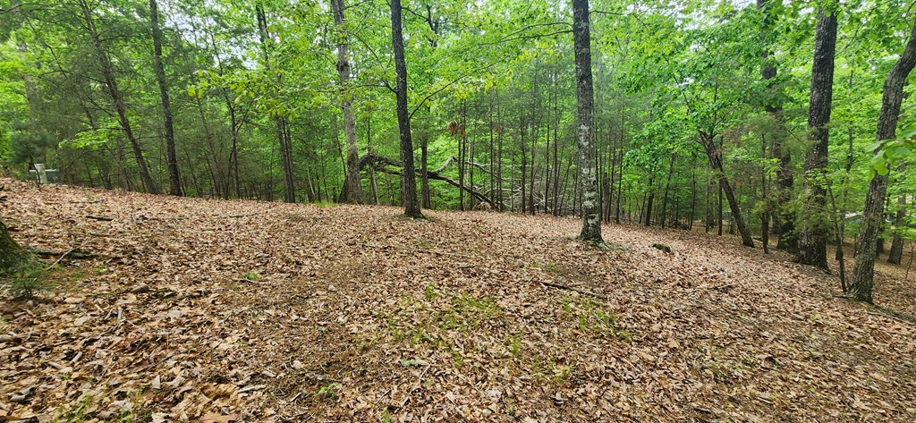 Lt 12 Saw Briar Lane Property Photo 6
