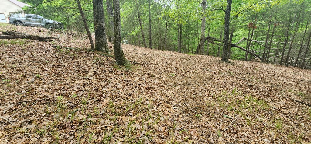 Lt 12 Saw Briar Lane Property Photo 7