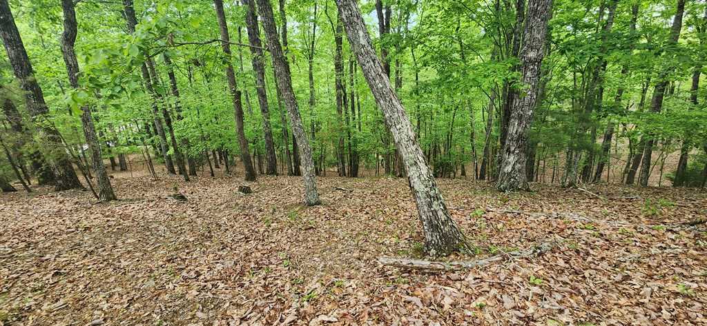 Lt 12 Saw Briar Lane Property Photo 8