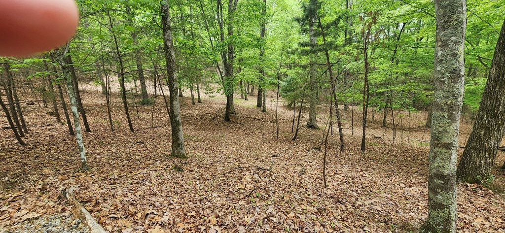 Lt 12 Saw Briar Lane Property Photo 9