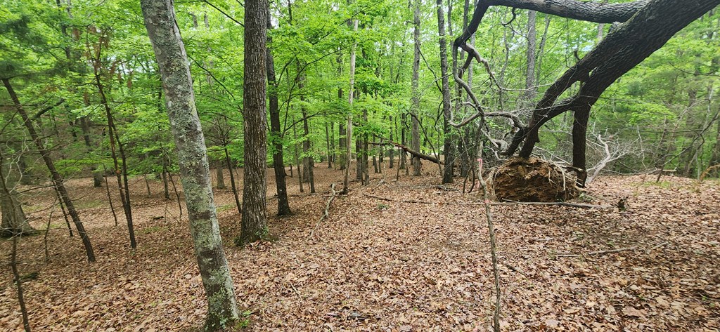 Lt 12 Saw Briar Lane Property Photo 10