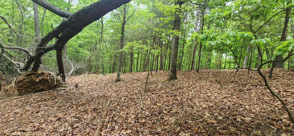 Lt 12 Saw Briar Lane Property Photo 11