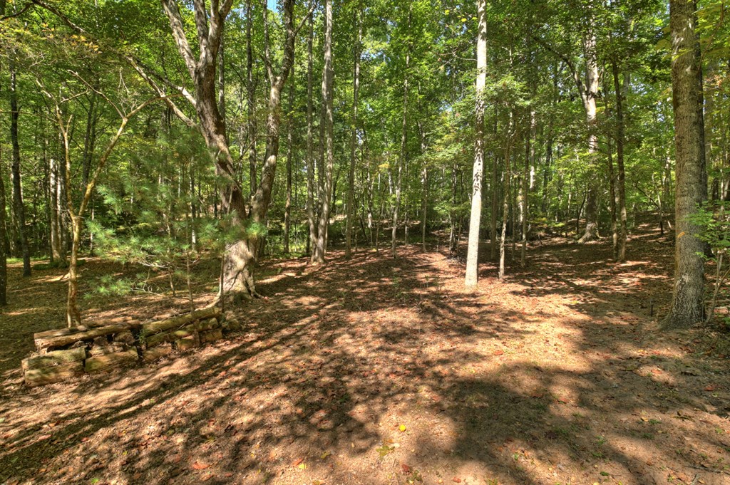 191 Barker Lane Property Photo 4