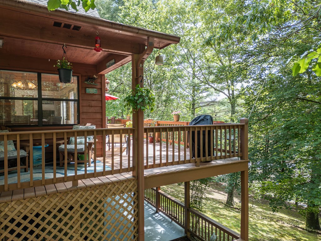 186 Brasstown Hills Road Property Photo 5