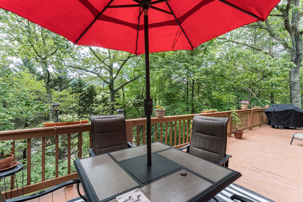186 Brasstown Hills Road Property Photo 16