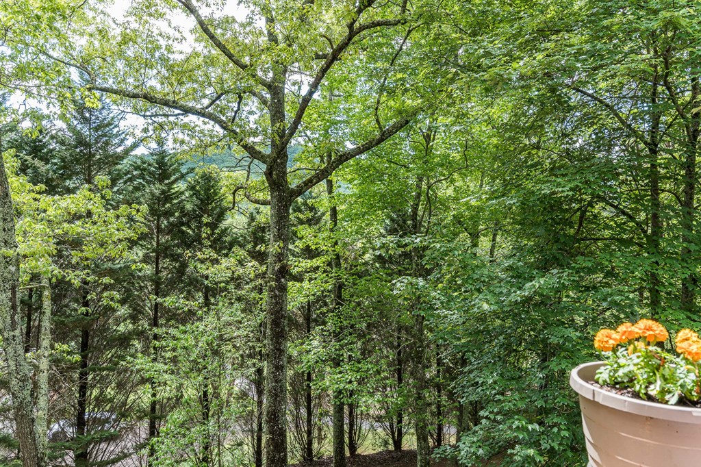 186 Brasstown Hills Road Property Photo 17
