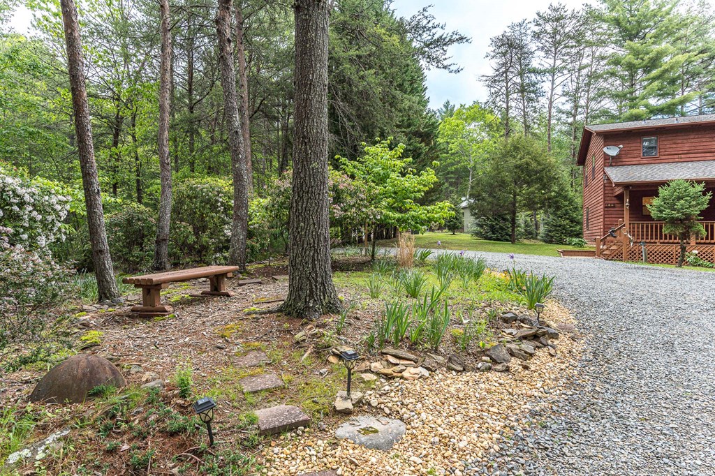 186 Brasstown Hills Road Property Photo 43