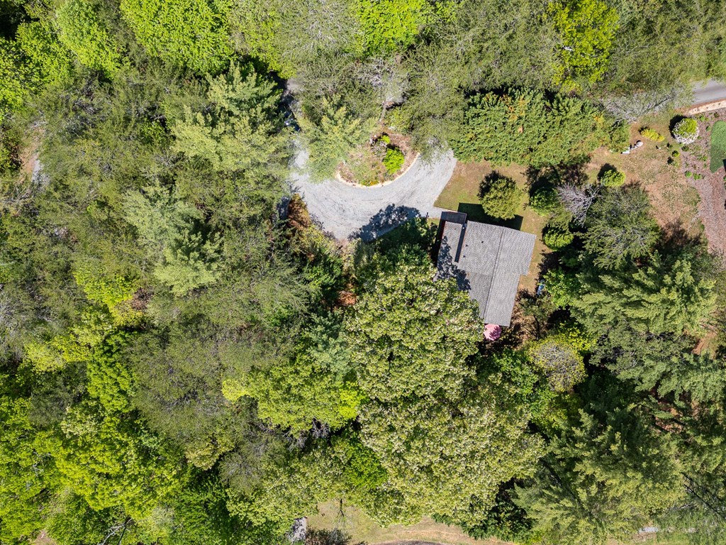 186 Brasstown Hills Road Property Photo 45