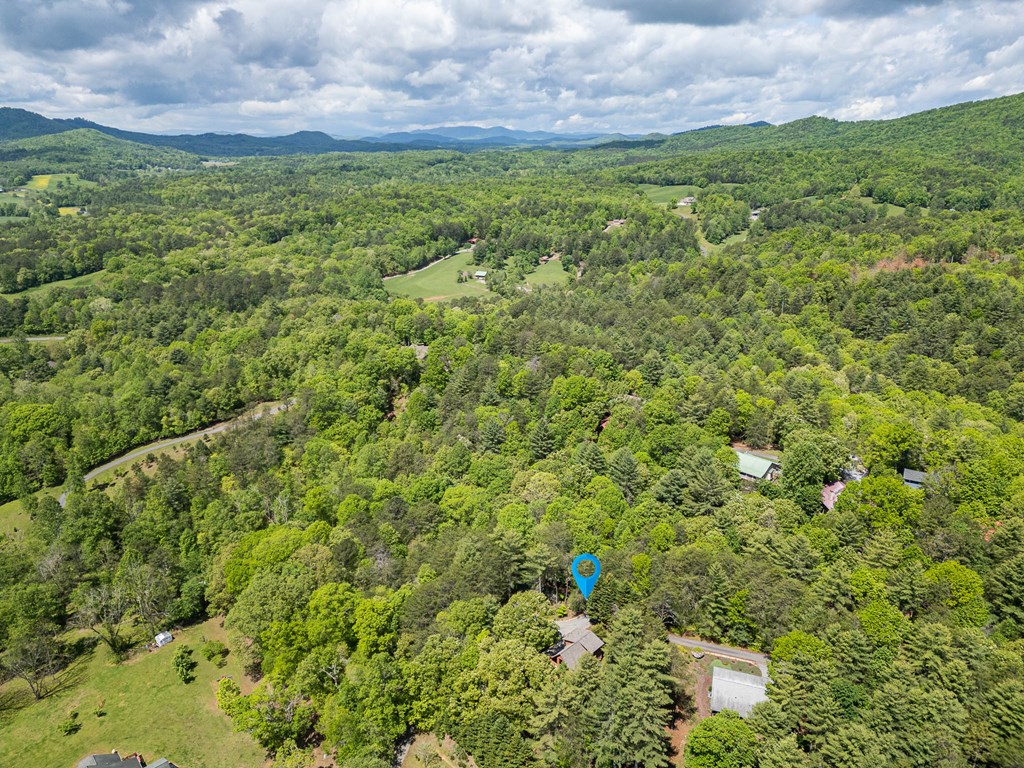 186 Brasstown Hills Road Property Photo 46