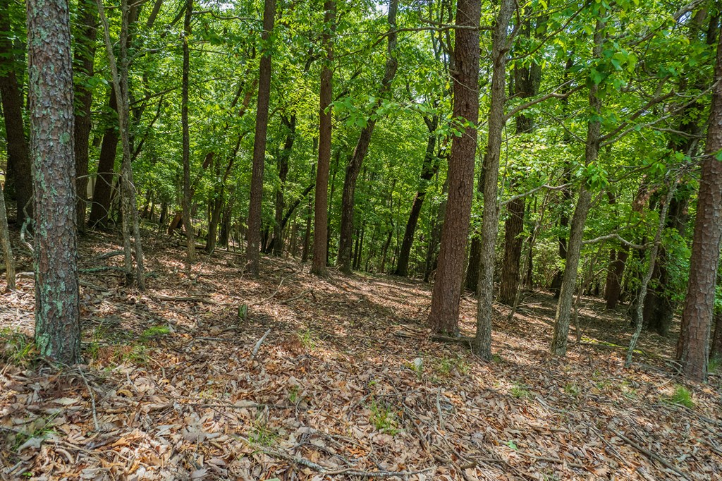 9806 Fairway Drive Property Photo 16