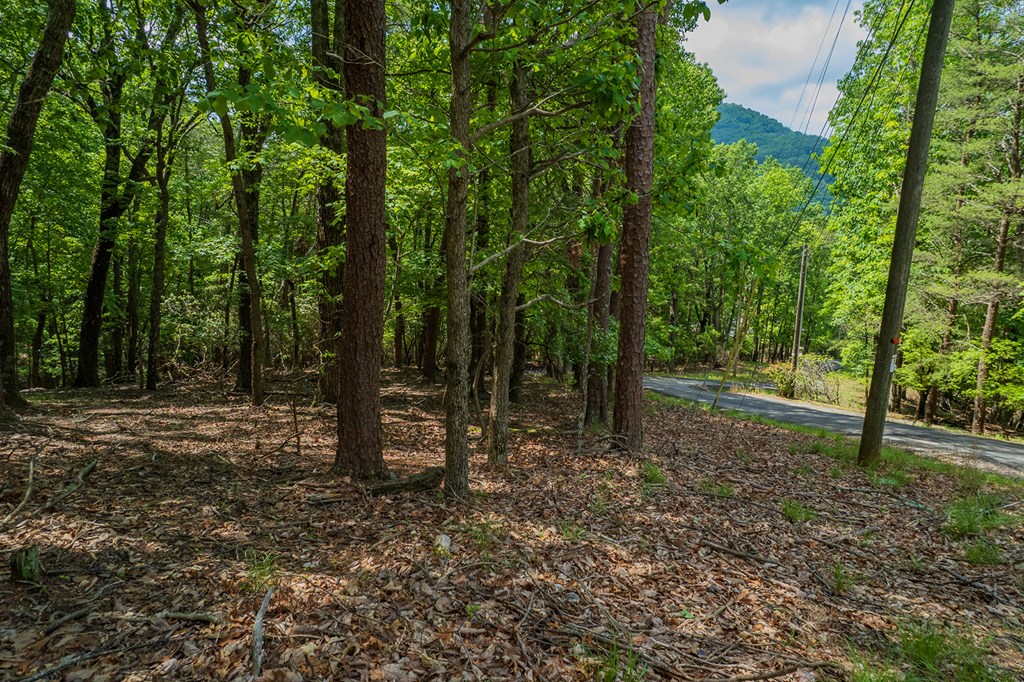9806 Fairway Drive Property Photo 17