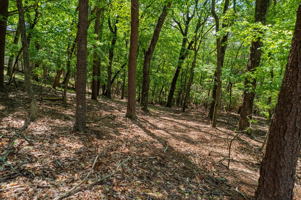9806 Fairway Drive Property Photo 18