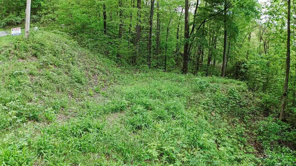 Lot 119 Outlook Road Property Photo 8