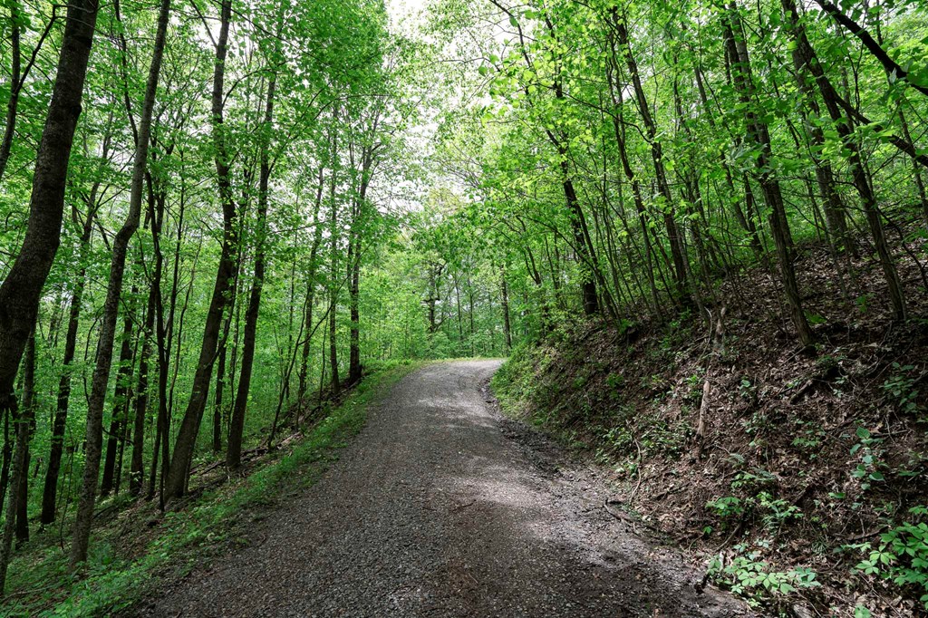 Lot 119 Outlook Road Property Photo 10
