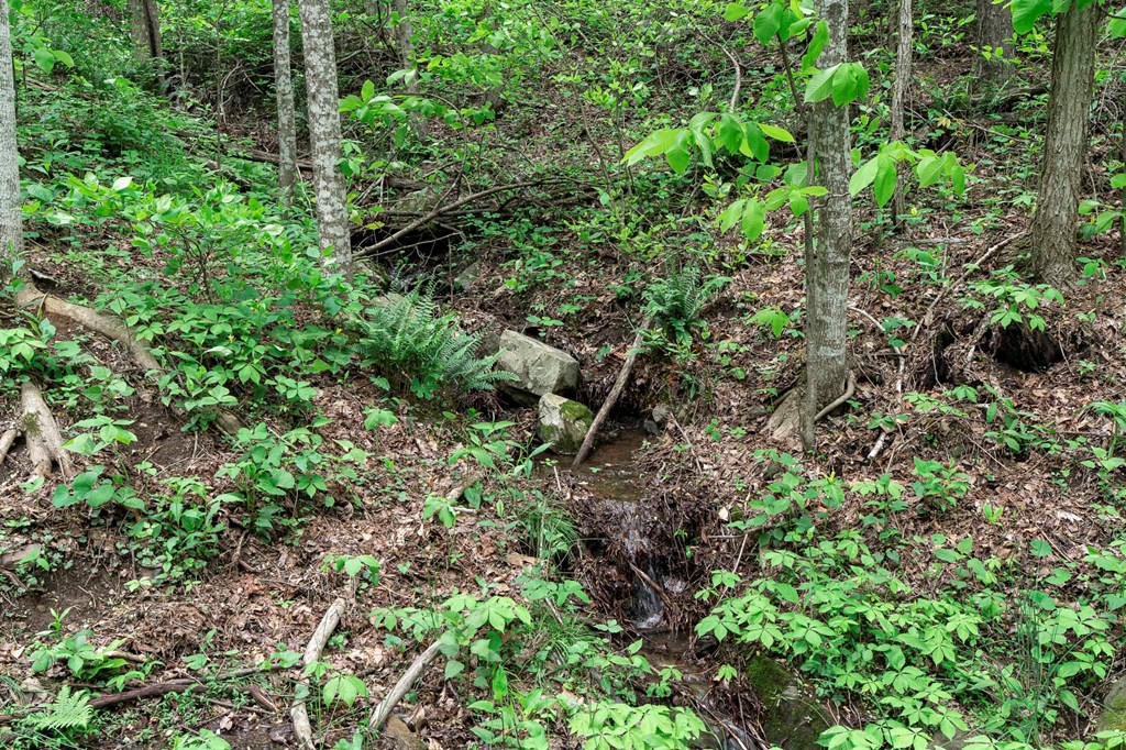 Lot 119 Outlook Road Property Photo 20