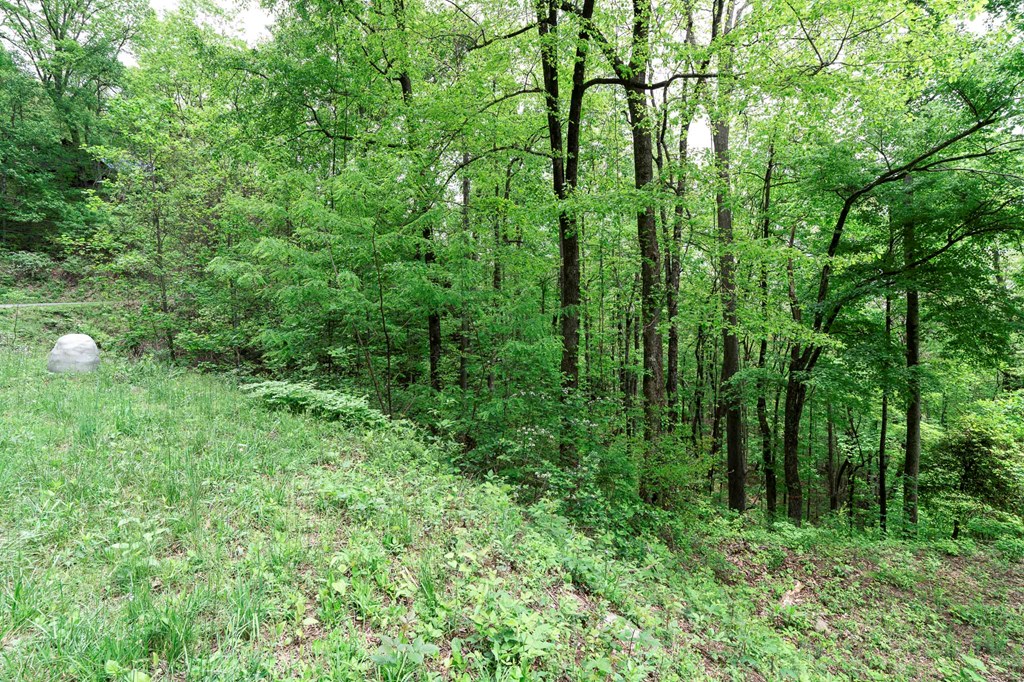 Lot 119 Outlook Road Property Photo 21