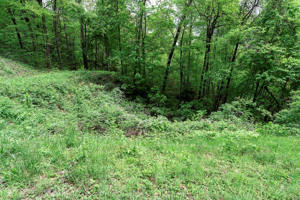 Lot 119 Outlook Road Property Photo 22