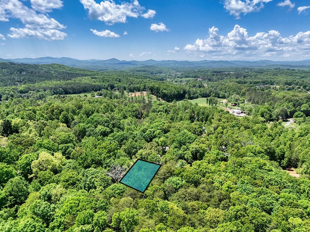 423 Chimney Ridge Property Photo 26