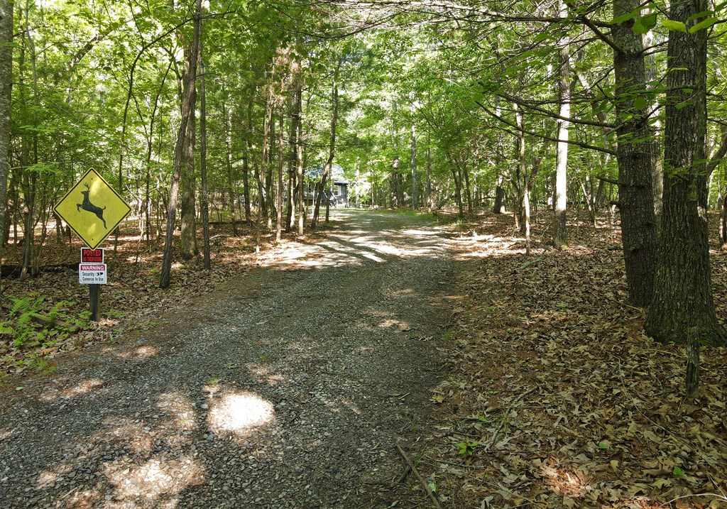 785 Bernhardt Road Property Photo 8