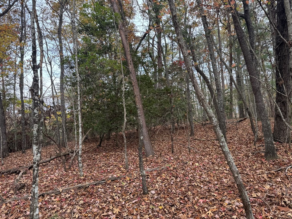 2 Paradise Park Road Property Photo 15