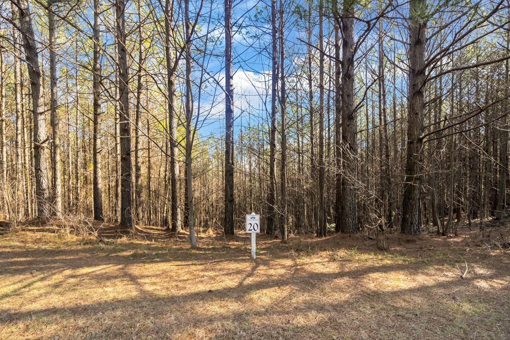 0 Foxpaw Leaf Lane Property Photo 1