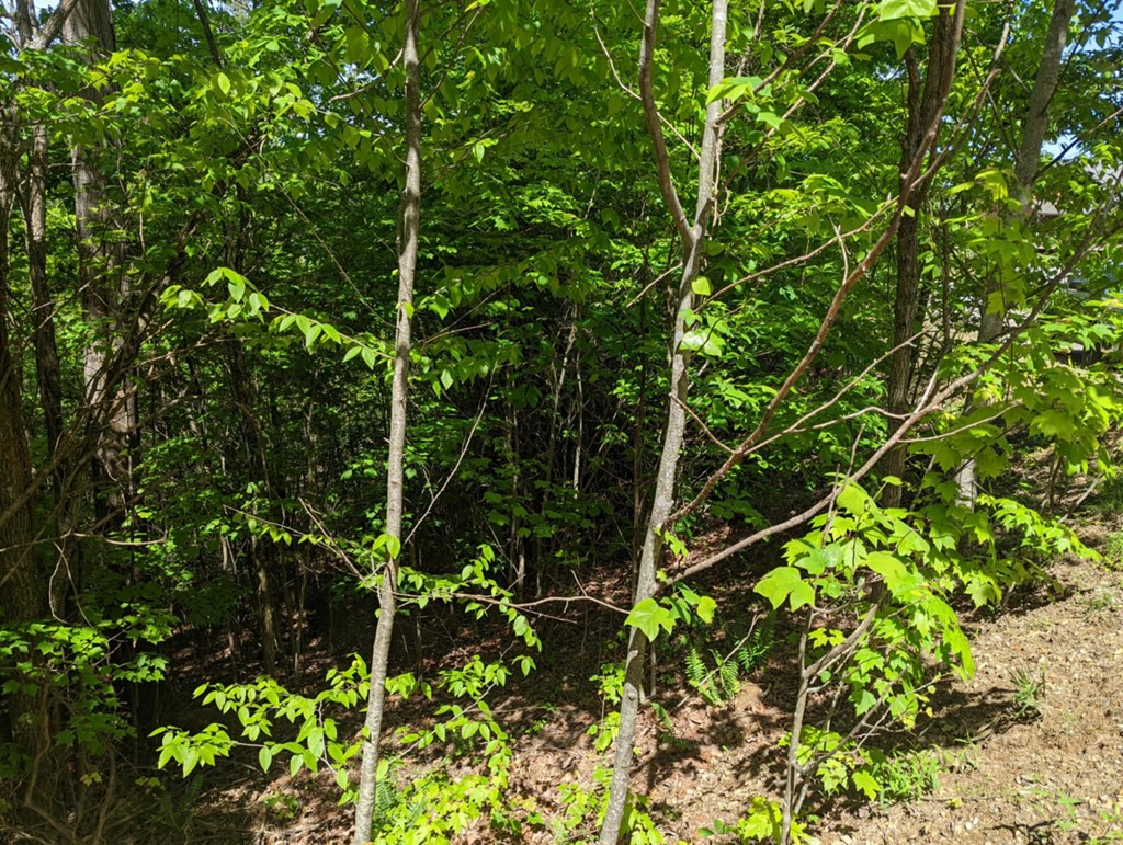 Tbd Heritage Trail Property Photo 5