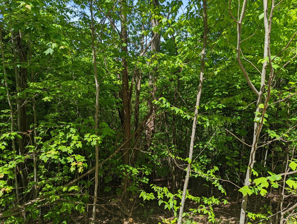 Tbd Heritage Trail Property Photo 6