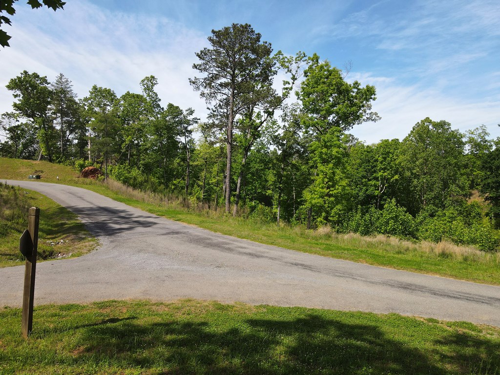 Lot 108 High River Property Photo 4