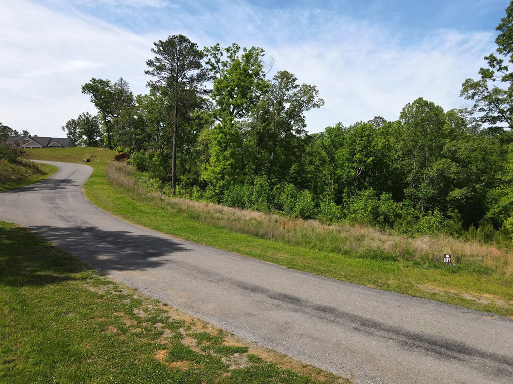 Lot 108 High River Property Photo 5