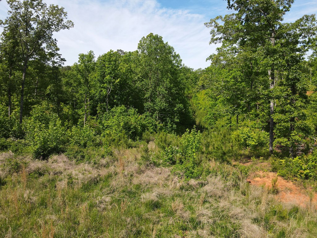 Lot 108 High River Property Photo 7