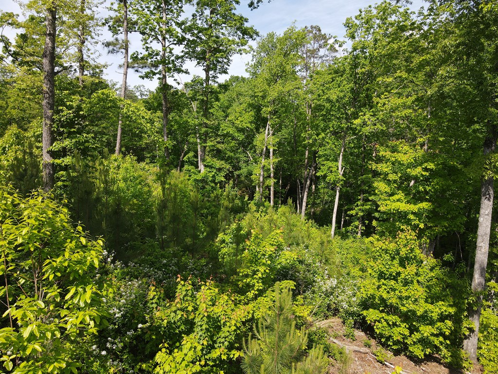 Lot 108 High River Property Photo 8