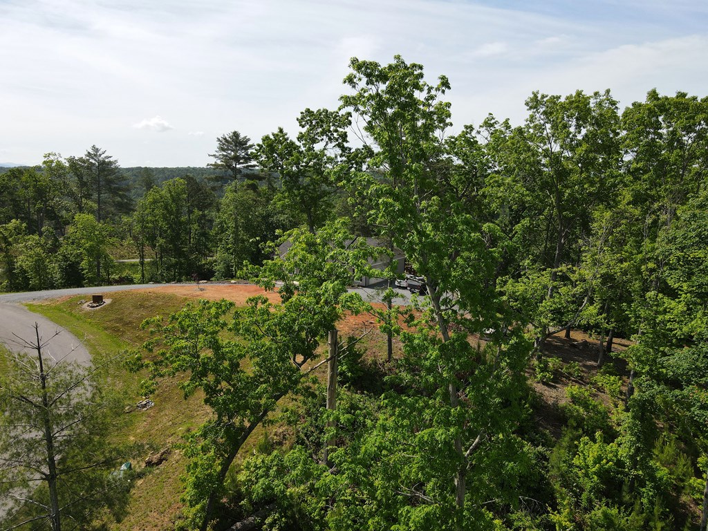 Lot 108 High River Property Photo 9