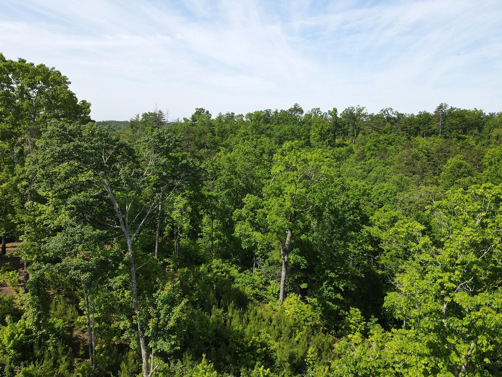 Lot 108 High River Property Photo 10