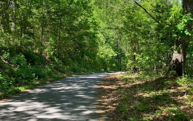Lot 8 Hidden Summit Road Property Photo 3
